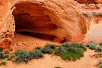 Southwest_061.JPG Southwest_061.JPG