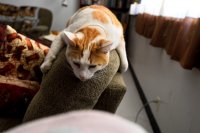 Southwest_063.JPG Southwest_063.JPG