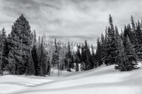 Mill D Desolation 4-20180188-bw.jpg