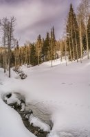 Mill D Desolation 4-20180064-proc.jpg