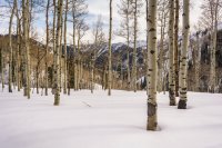 Mill D Desolation 4-20180088-proc.jpg