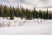 Mill D Desolation 4-20180123-proc.jpg