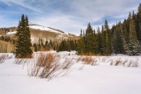 Mill D Desolation 4-20180130-proc.jpg