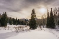 Mill D Desolation 4-20180140-proc.jpg