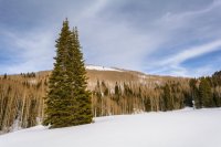 Mill D Desolation 4-20180160-proc.jpg