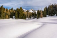 Mill D Desolation 4-20180176-proc1.jpg