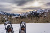 Mill D Desolation 4-20180233-proc.jpg