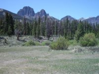 Double Cabin Cathedral.jpg