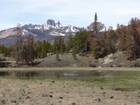 Absaroka June Near 5 Pockets Trailhead.jpg
