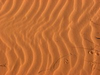 Sand Dunes 025.JPG