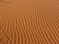 Sand Dunes 061.JPG