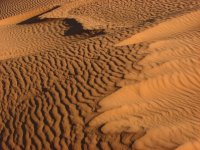 Sand Dunes 067.JPG
