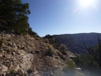 P1000629.JPG P1000629.JPG