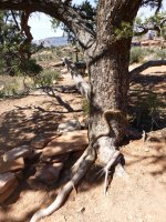 P1000646.JPG P1000646.JPG