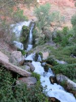 IMG_1089.JPG IMG_1089.JPG