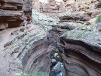 P1000709.JPG P1000709.JPG