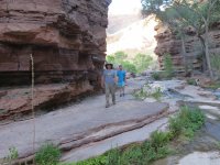 IMG_1110.JPG IMG_1110.JPG