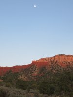 IMG_1138.JPG IMG_1138.JPG