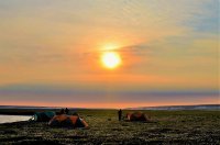 102a  About Midnight (2).jpg