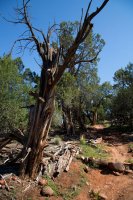 2D5A6362.jpg 2D5A6362.jpg