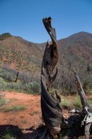 2D5A6377.jpg 2D5A6377.jpg