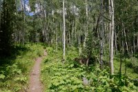 AEF930FD-AA7D-4BAF-9473-5FB0917562DE.jpeg AEF930FD-AA7D-4BAF-9473-5FB0917562DE.jpeg