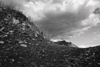 01BB8655-0F65-4771-85FB-BF71AA7A289A.jpeg 01BB8655-0F65-4771-85FB-BF71AA7A289A.jpeg