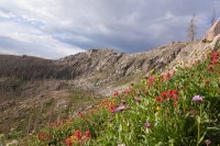 BFC09C5B-9194-4F77-98C6-35294B6DB4DB.jpeg BFC09C5B-9194-4F77-98C6-35294B6DB4DB.jpeg