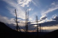 DB08CD03-3C87-4FCB-A1E3-45BB3CBD6C2A.jpeg DB08CD03-3C87-4FCB-A1E3-45BB3CBD6C2A.jpeg