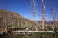 1B66C9EB-CE80-4939-AF77-DE9289AF0AFD.jpeg 1B66C9EB-CE80-4939-AF77-DE9289AF0AFD.jpeg