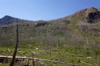 0BFA0739-E80E-469E-809C-6D5C56335DA3.jpeg 0BFA0739-E80E-469E-809C-6D5C56335DA3.jpeg