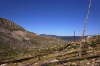 3BBC7614-18C2-43AA-A291-007A717DEE21.jpeg 3BBC7614-18C2-43AA-A291-007A717DEE21.jpeg