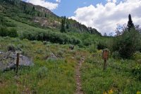 8EC2961A-EEB1-4478-BB46-CD02E5BA5502.jpeg 8EC2961A-EEB1-4478-BB46-CD02E5BA5502.jpeg