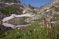 098B1384-319D-4A3E-A58E-4C05814FDC43.jpeg 098B1384-319D-4A3E-A58E-4C05814FDC43.jpeg