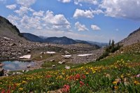 73045618-0251-42F1-82E6-EE0ABB9FCFD2.jpeg 73045618-0251-42F1-82E6-EE0ABB9FCFD2.jpeg