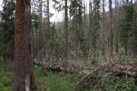 6D28C3A8-29B6-4FCE-8E48-9F269E903846.jpeg 6D28C3A8-29B6-4FCE-8E48-9F269E903846.jpeg