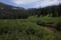 CDEBD7E4-800E-4B69-A40C-77A27C9EA832.jpeg CDEBD7E4-800E-4B69-A40C-77A27C9EA832.jpeg