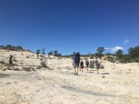 IMG_3441.JPG IMG_3441.JPG