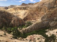 IMG_3457.JPG IMG_3457.JPG