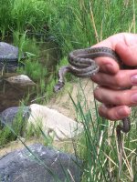 IMG_3580.JPG IMG_3580.JPG