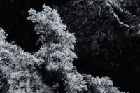 Mill B North 5-20-180046-bw.jpg