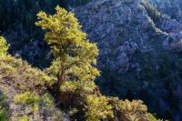 Mill B North 5-20-180046-proc.jpg