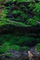 Stuart Fork-5.jpg Stuart Fork-5.jpg