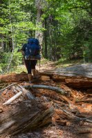 Stuart Fork-14.jpg Stuart Fork-14.jpg