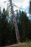 Stuart Fork-15.jpg Stuart Fork-15.jpg