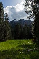 Stuart Fork-18.jpg Stuart Fork-18.jpg