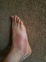 Stuart Fork-35.jpg Stuart Fork-35.jpg