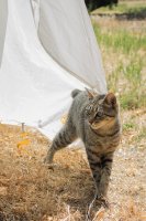 Stuart Fork-30.jpg Stuart Fork-30.jpg