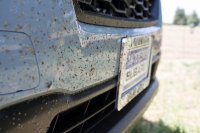 Stuart Fork-33.jpg Stuart Fork-33.jpg