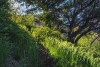 Mill B North 5-20-180038-proc.jpg